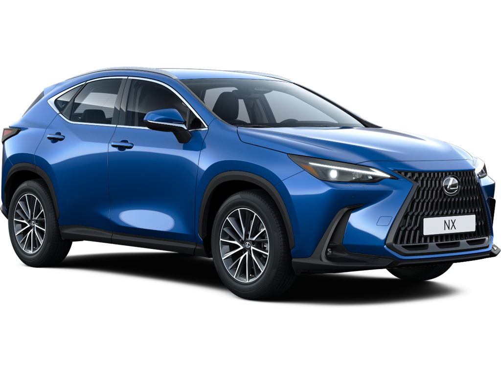 NX Hybrid