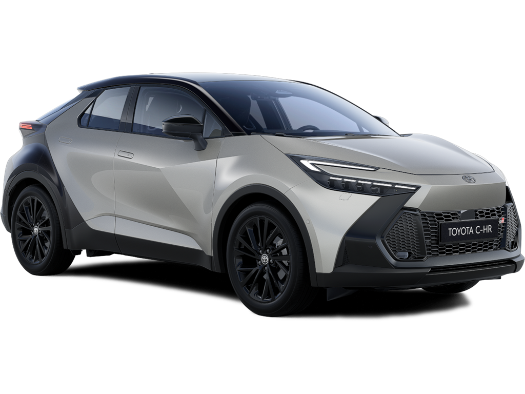 Bi-tone Precious Silver (1J6/202) 850 €