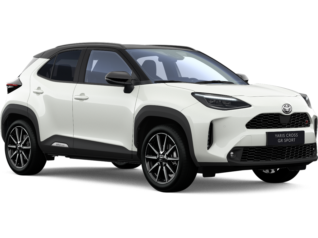 Bi-tone Platinum Pearl White (089/209) € 700