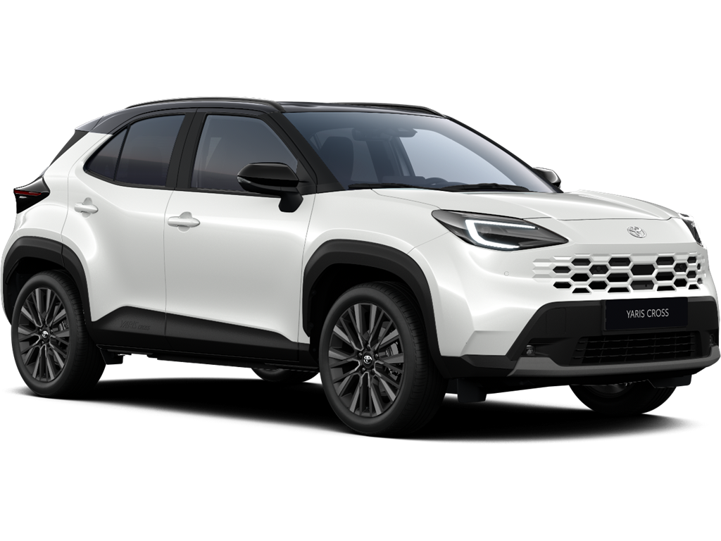 Bi-tone Platinum Pearl White (089/209) 700 €
