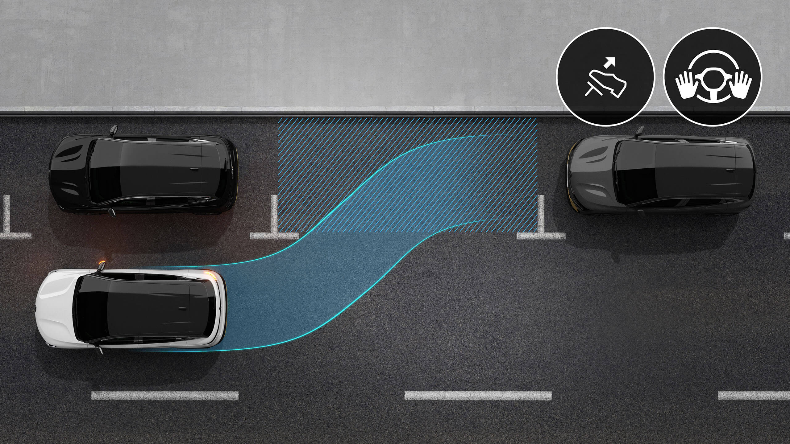 Grafinė iliustracija vaizduoja baltą visiškai elektrinį Renault MEGANE E-TECH Electric su įjungtu automatinio parkavimo asistentu, pasiruošusį įvažiuoti į stovėjimo vietą