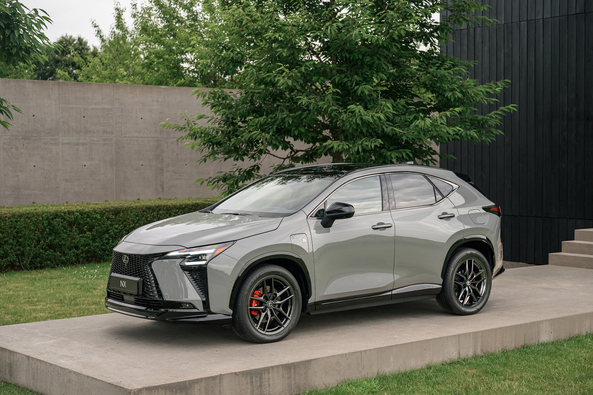 Lexus NX F SPORT