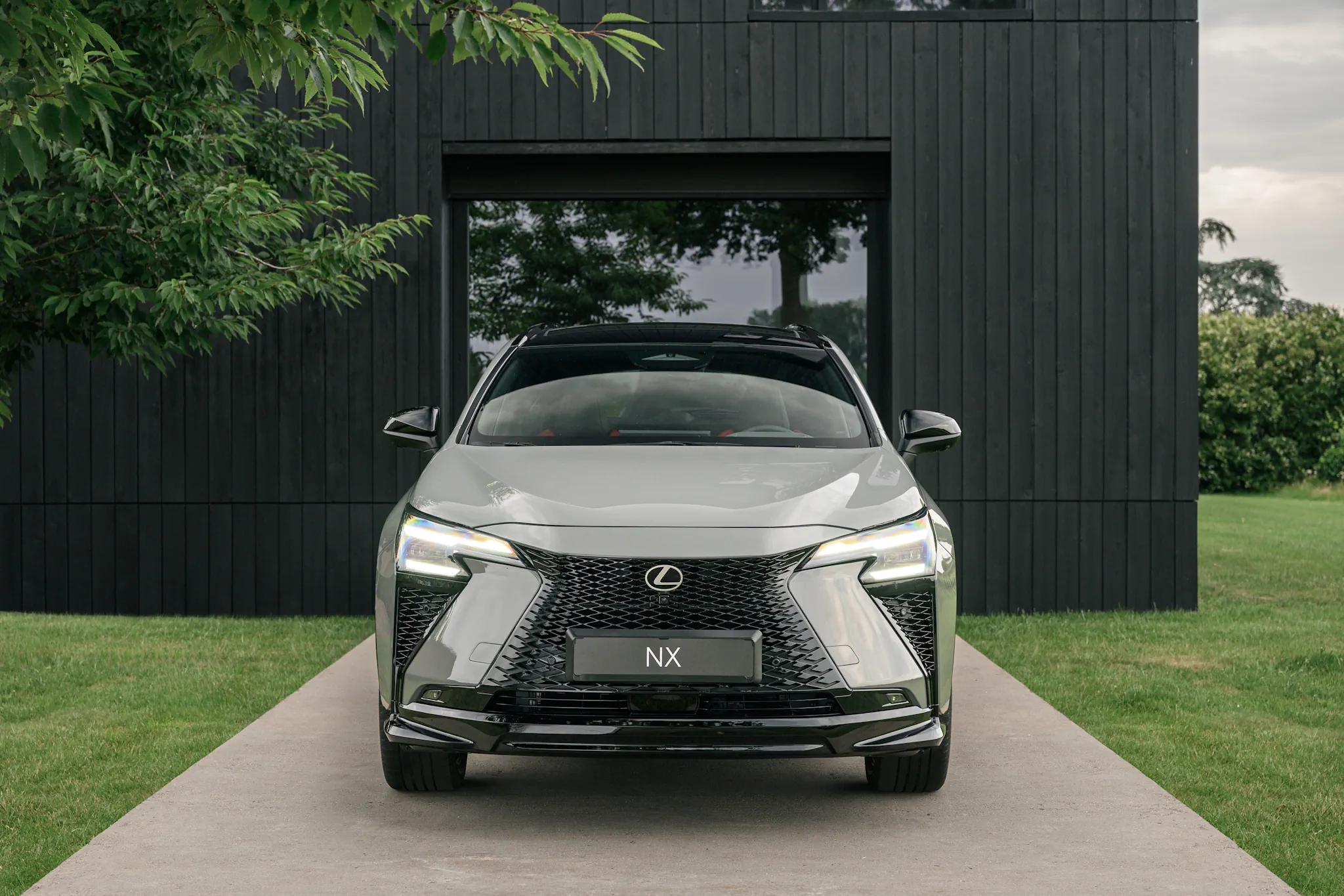 Фото Lexus NX450h F Sport