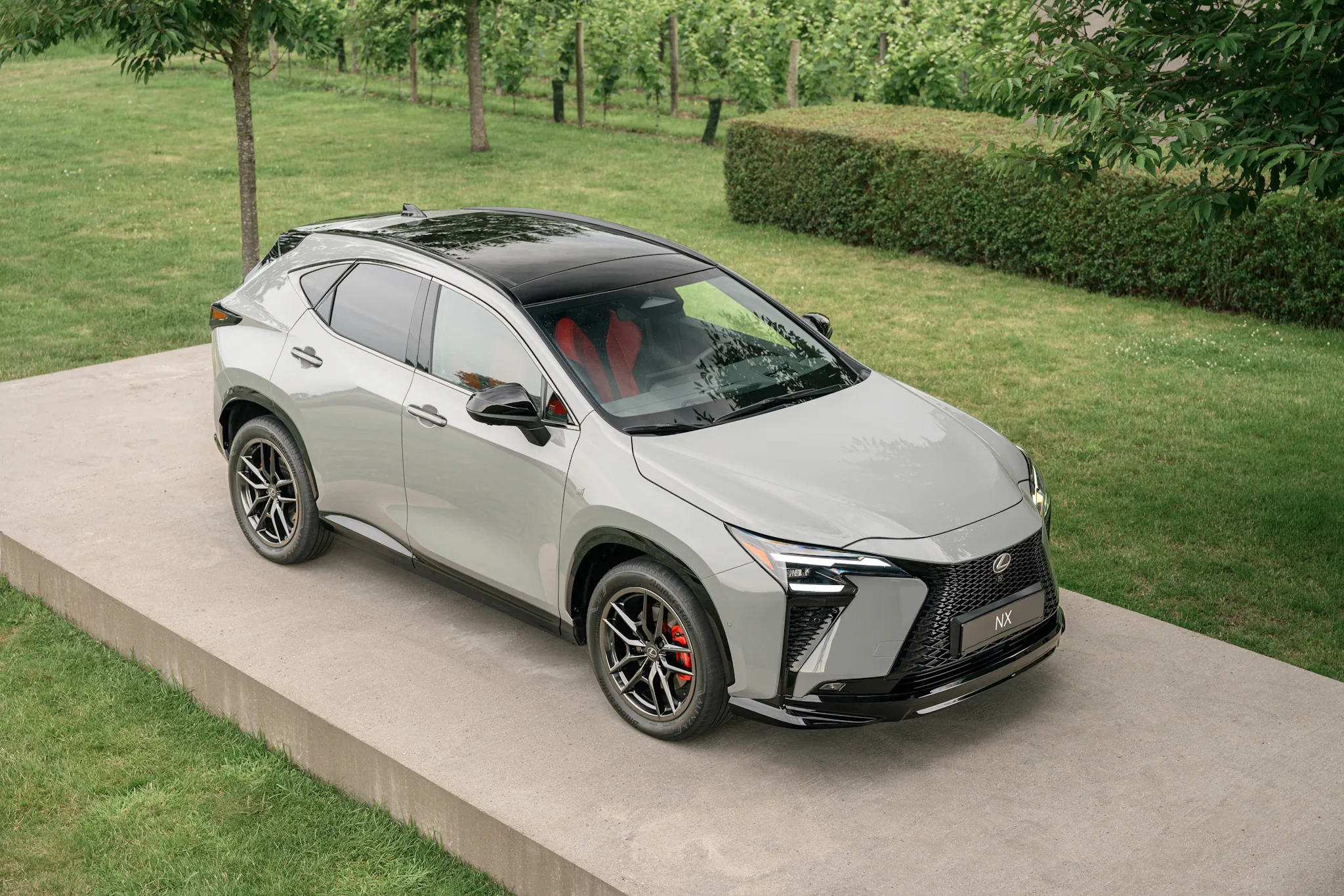 Фото Lexus NX450h F Sport